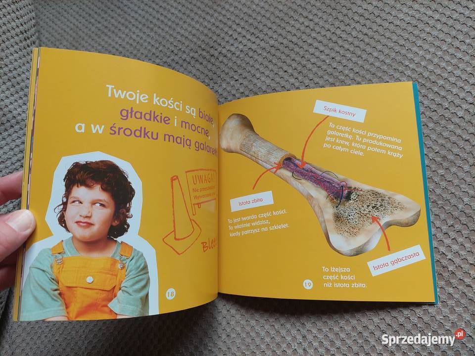 Twoje kości Becky Baines Kraków sprzedam