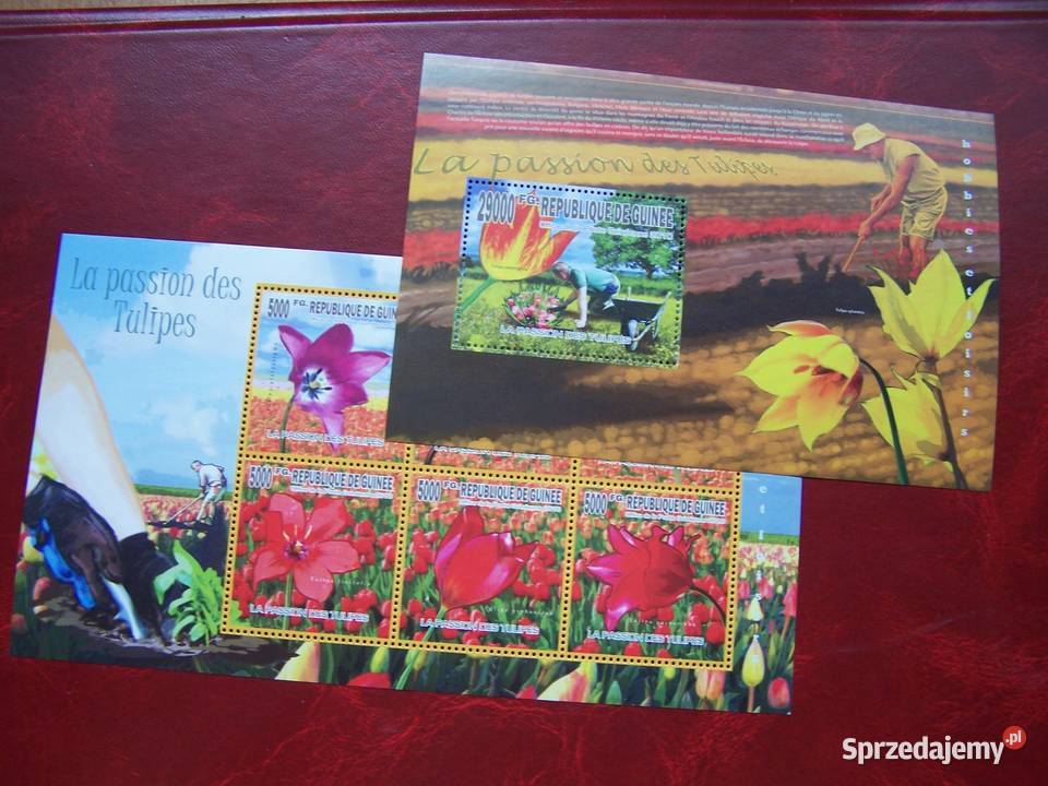 Gwinea 2010 MNH Flora Kwiaty Tulipany Tychy sprzedam
