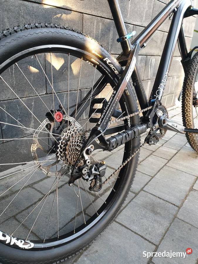 Dartmoor hornet małopolskie Skawina sprzedam