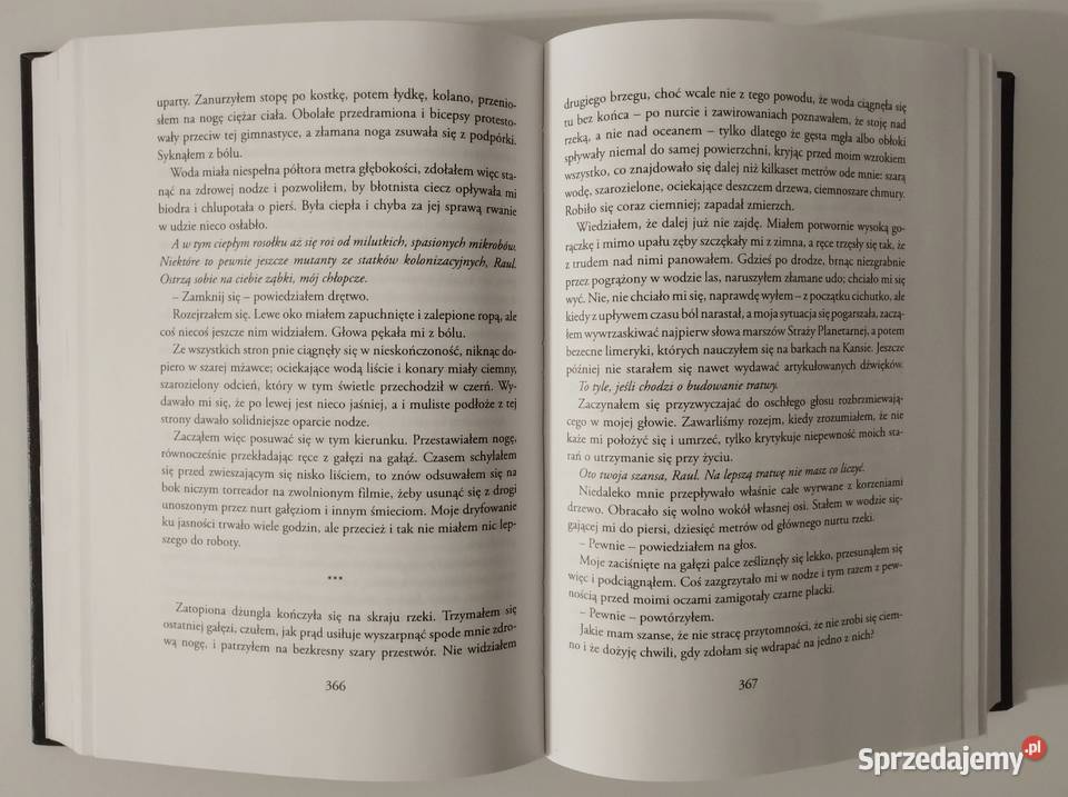 Triumf Endymiona Dan Simmons Bełchatów sprzedam