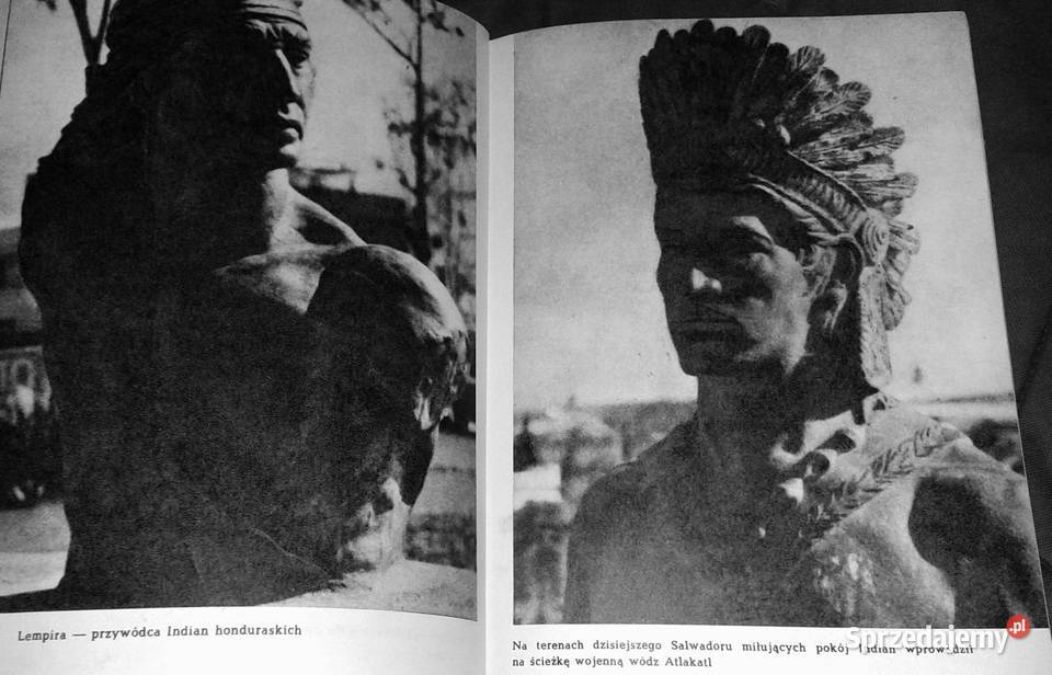 Indiański płomień Miloslav Stingl