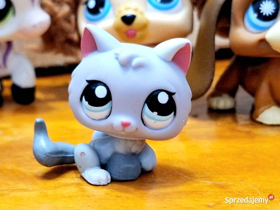 Kot Tabby Littlest Pet Shop Braniewo