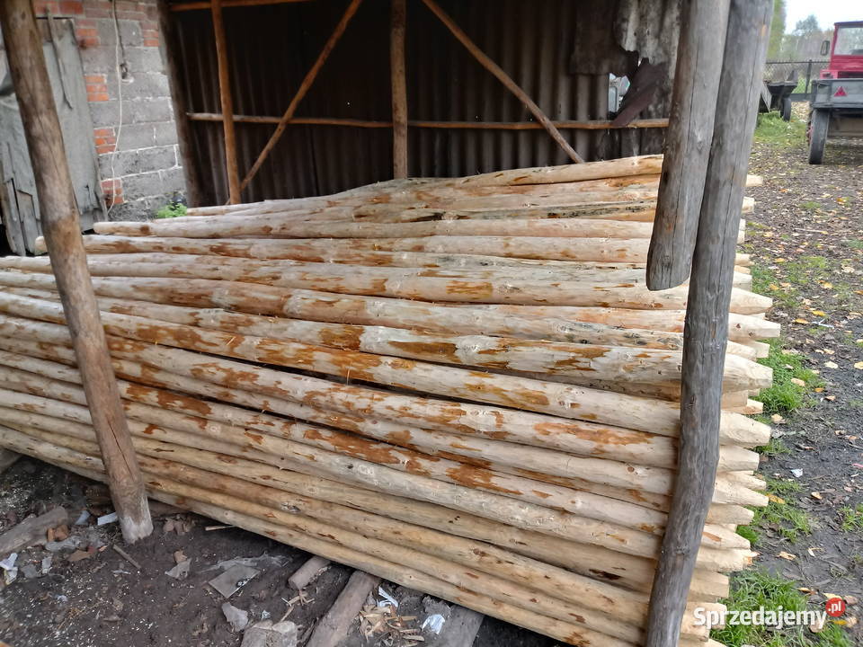 Palik tyczki do drzewekmalin i na ogrodzenie