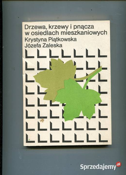 Drzewa krzewy i pnącza w osiedlach Szczecin