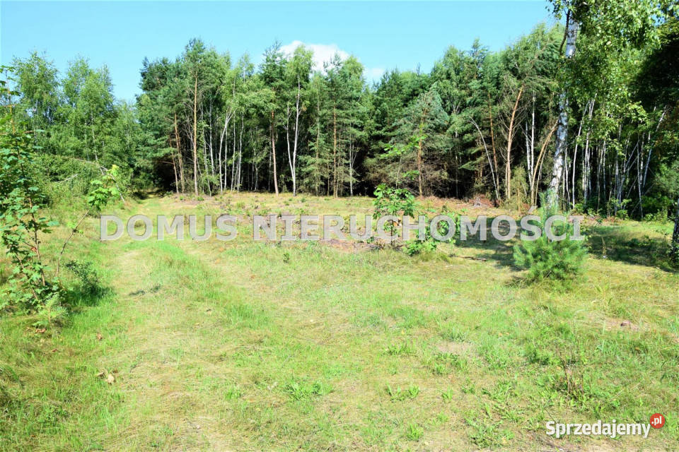 sprzedaży gruntu 29000m2 Taurów