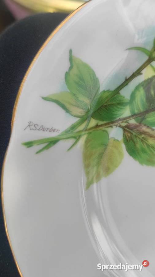 Angielska porcelana kostna ROSLYN Pabianice