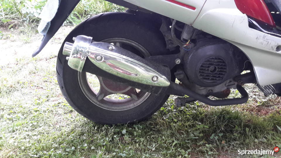 Skuter Kingway Coliber Rex