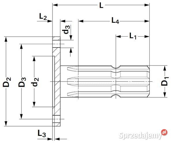 Końcówka wału z kołnierzem 1 38 Z6 L110 mm D100