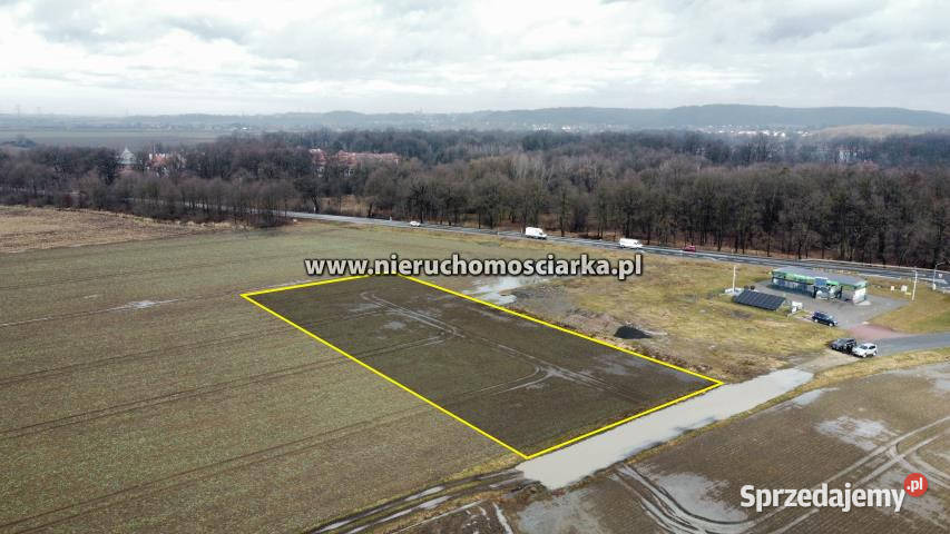 Grunt 4593m2 Gorzyce