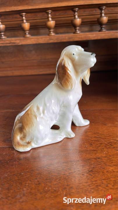 Piesek Figurka porcelanowa Śliczna figurka bez pomorskie Gdańsk