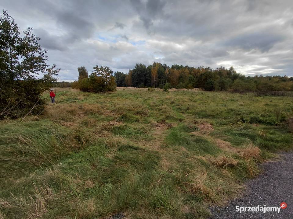 Sprzedam ziemię rolna 7000m2 7000m2 Goleniów sprzedam