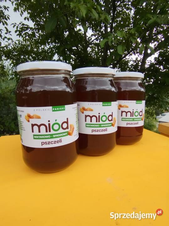 100 Miód nektarowo spadziowy naturalny słoik