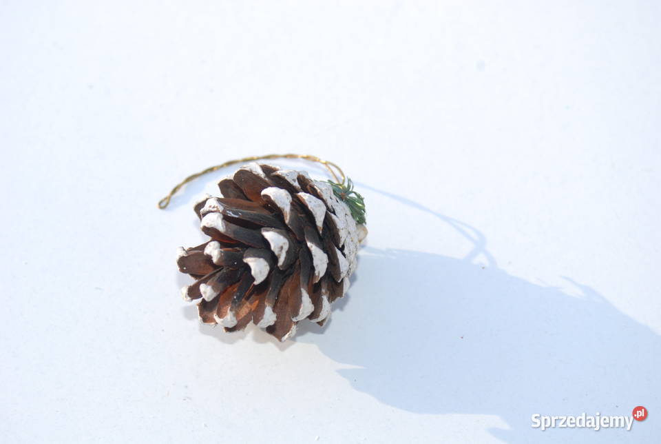 Stara ozdoba choinkowa szyszka naturalna Cieszyn