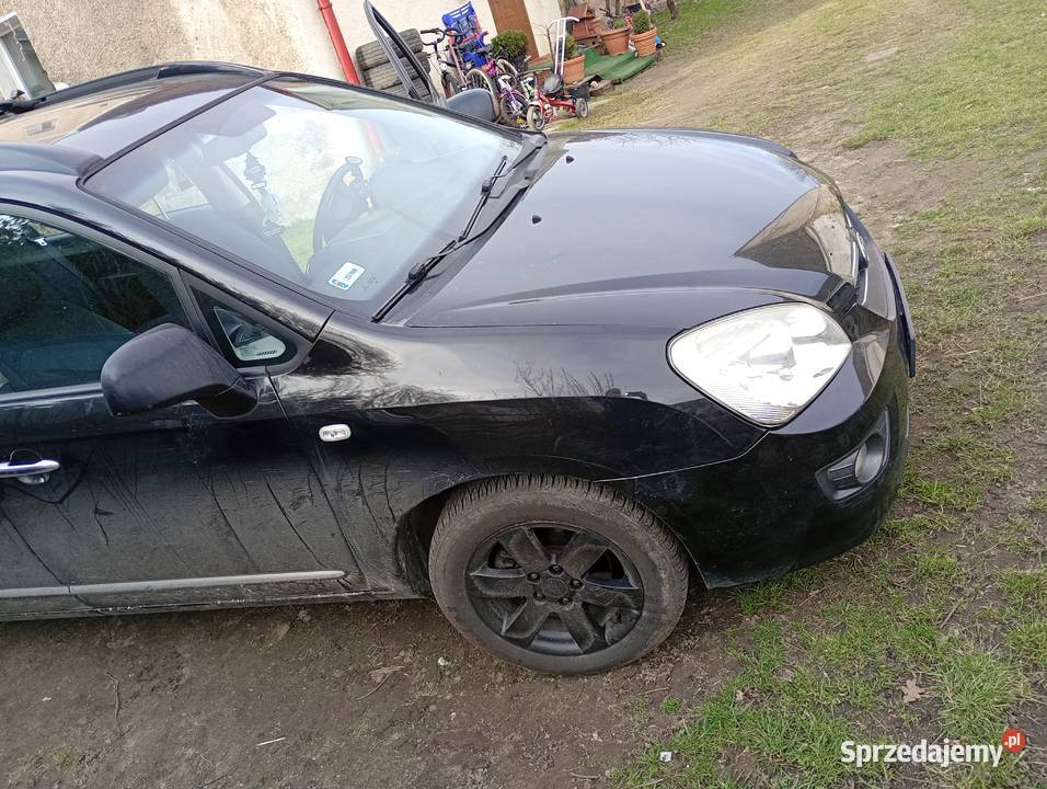 Kia carens3 Kwiatów