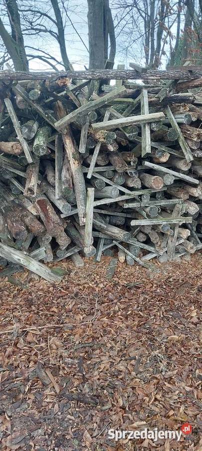 drewno opałowe mix dąb grab sosna brzoza