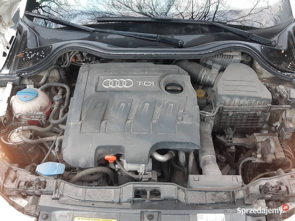 Audi A1 16 Tdi Rok produkcji 2010 wielkopolskie