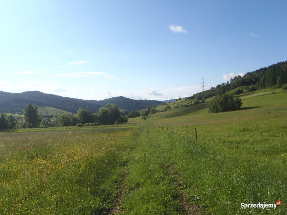 działki budowlane w górach woda Jastrzębik