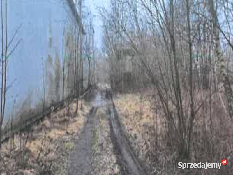 Syndyk sprzeda prawo użytkowania wieczystego Zgierz