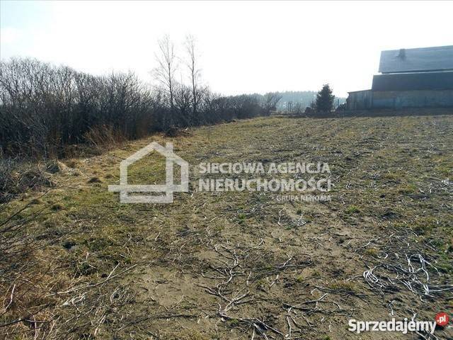 Dom wolnostojący 200m2 Liczba pokoi 1
