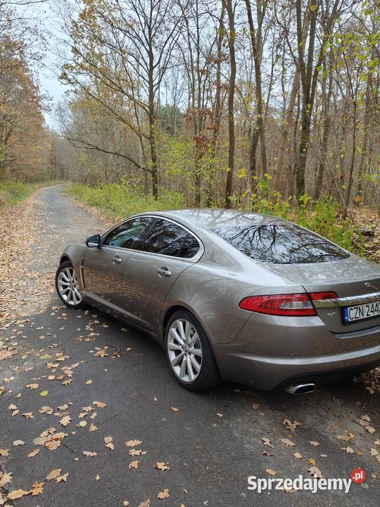 Sprzedam Jaguara xf Białożewin sprzedam