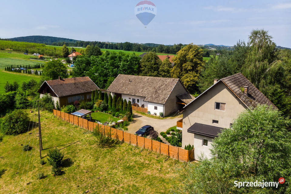 Dom siedlisko duża działka 8822m2 Grabie sprzedam