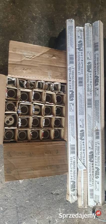 Świetlówki pila 18W i 20W Kielce