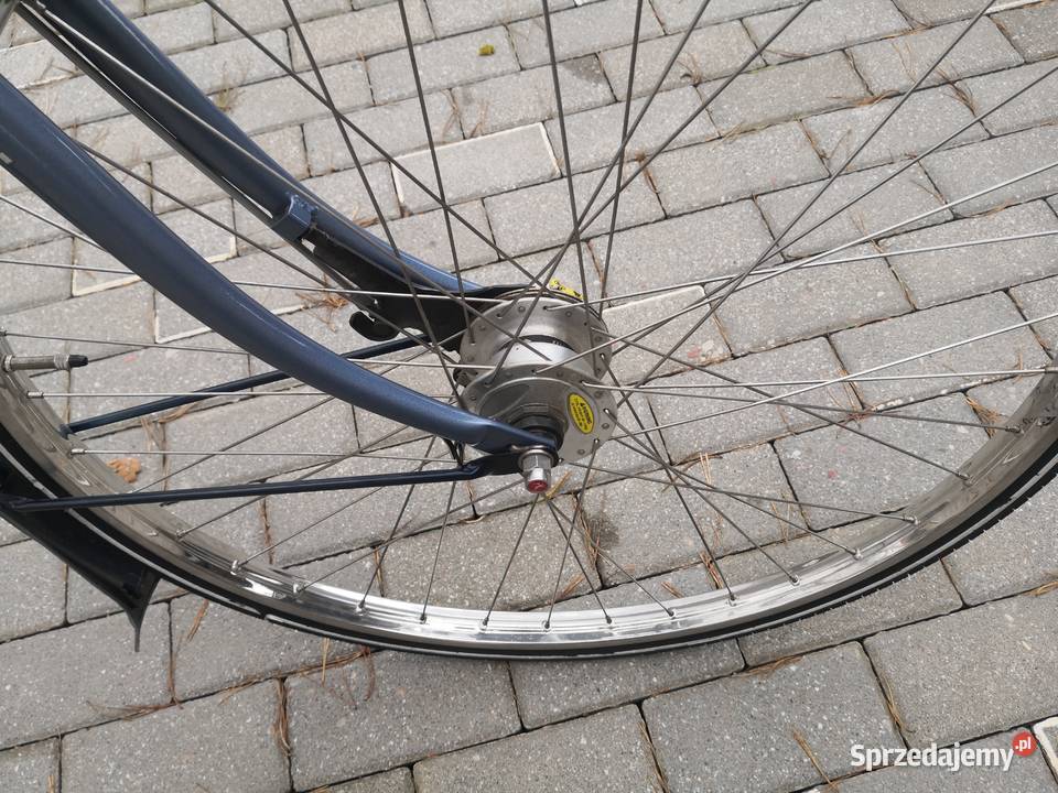 Gazella Impala szuka nowego właściciela