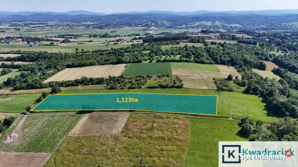 Sprzedam działka Zręcin 11230m2 polna sprzedam