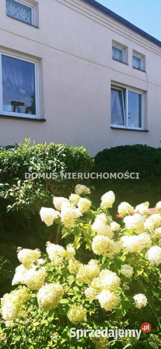 Dom 120 metrów Rogów sprzedam