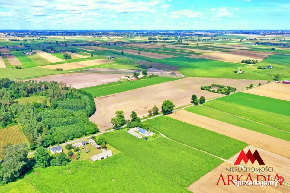 sprzedaży domu wolnostojącego Bodzanowo 364m2 kujawsko-pomorskie