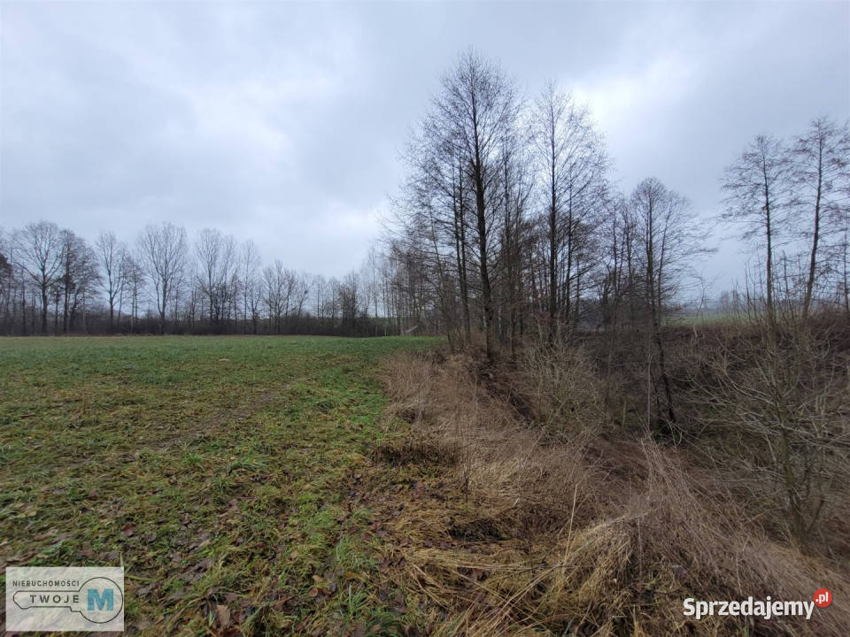 sprzedaży działki Bodzentyn 4800m2