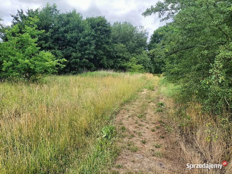 Działka budowlana zachodniopomorskie Cieszeniewo
