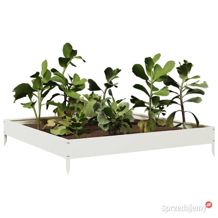 Podwyższona donica biała 100x100x185 stal Donice Donice sprzedam