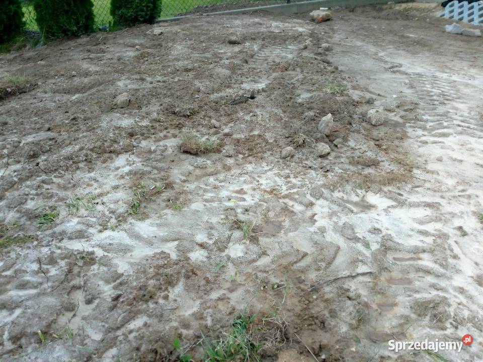 Ziemia przyjmę w dużych ilosciach Kraków sprzedam