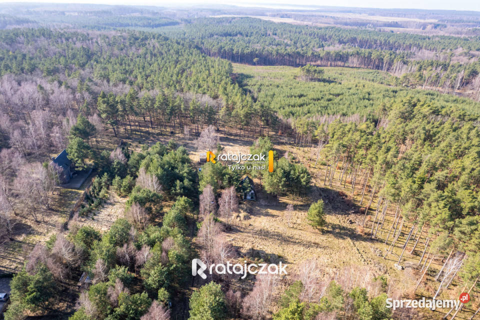 Grunt na sprzedaż 9751m2 Sasino Stara Cegielnia pomorskie