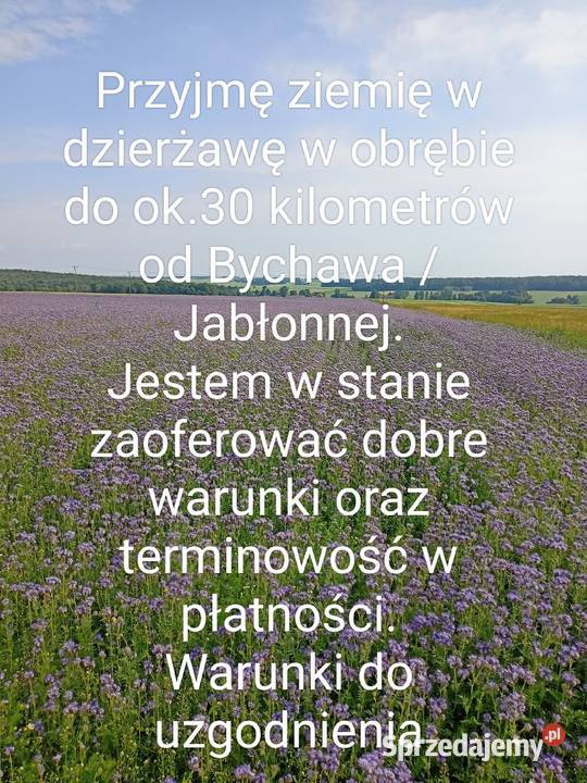 Kultywator dłutowy bezorkowy Agrolift JUMPER nieuszkodzony Bychawa