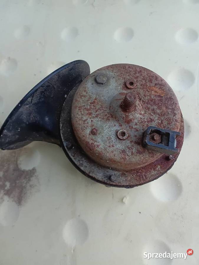 Sygnał Belma Milejewo