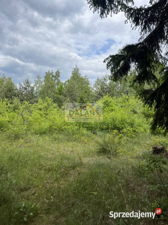 Grunt sprzedam Prace Duże 1500m2 mazowieckie