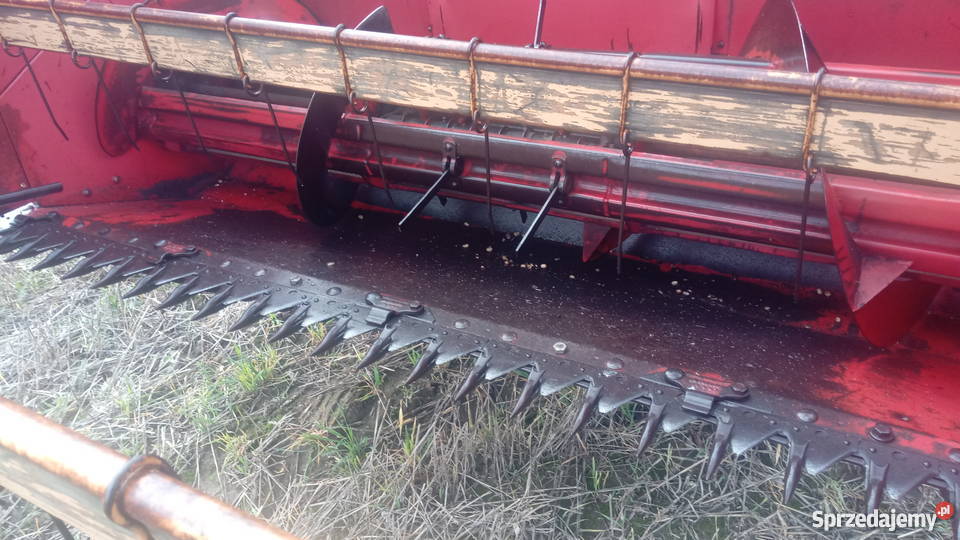 Kombajn Zbożowy MF 30 Sieczkarnia nieuszkodzony sprzedam