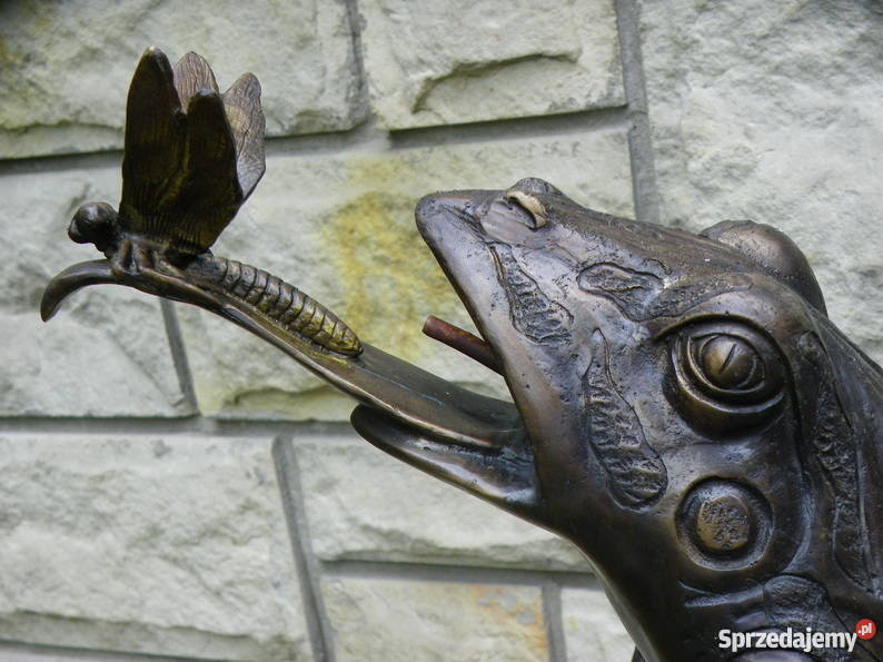 PLUJĄCA ŻABA W WASZKĘ FONTANNA Z BRĄZU ŻABA małopolskie Kraków