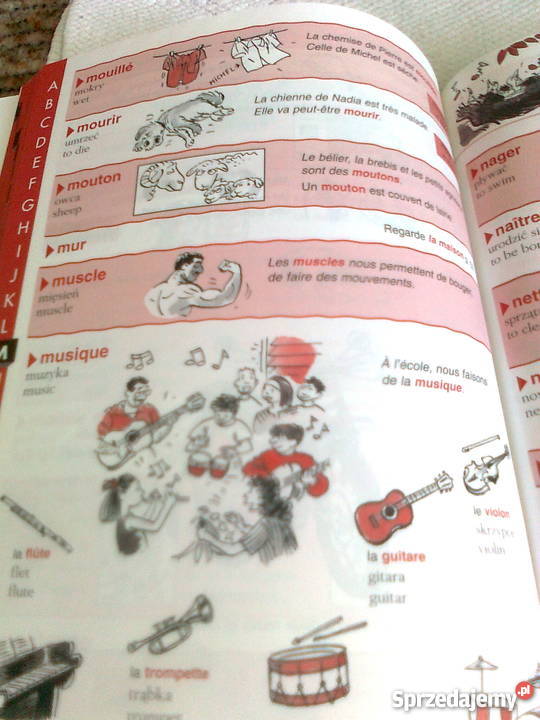 Mon Dictionnaire Trilingue sprzedam