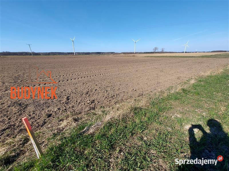 Działka budowlana Sińczyca