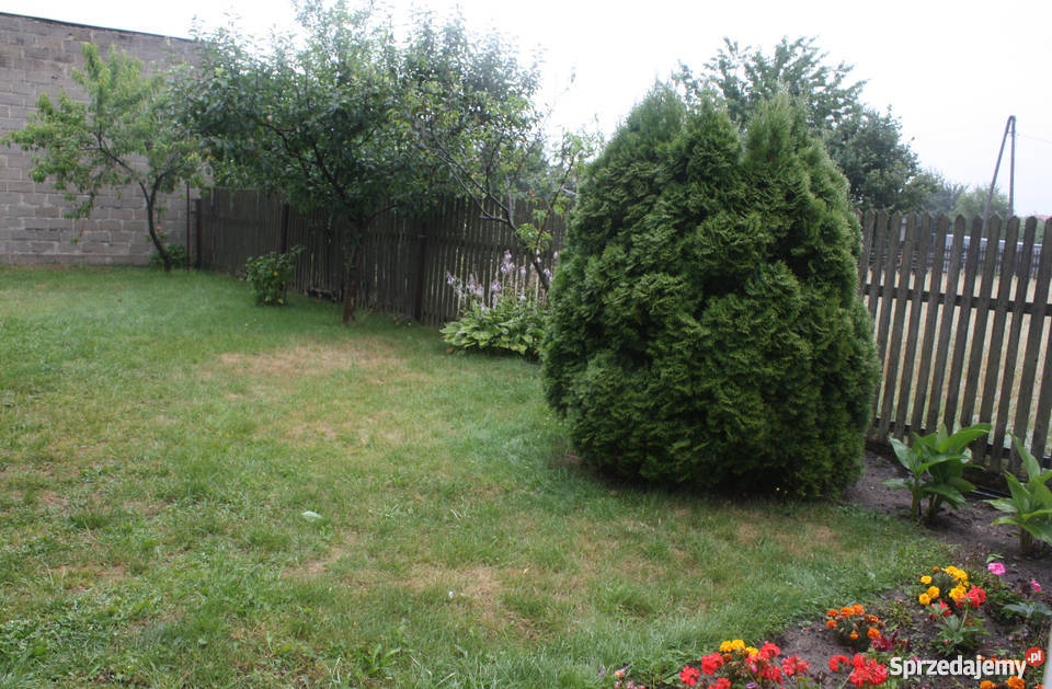 Sprzedam Dom drewniane Domy śląskie Hutki