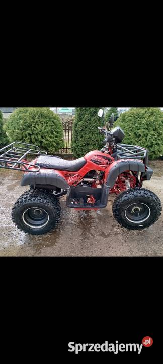 Quad 250 manual 41 2020 nieuszkodzony Kostry-Noski