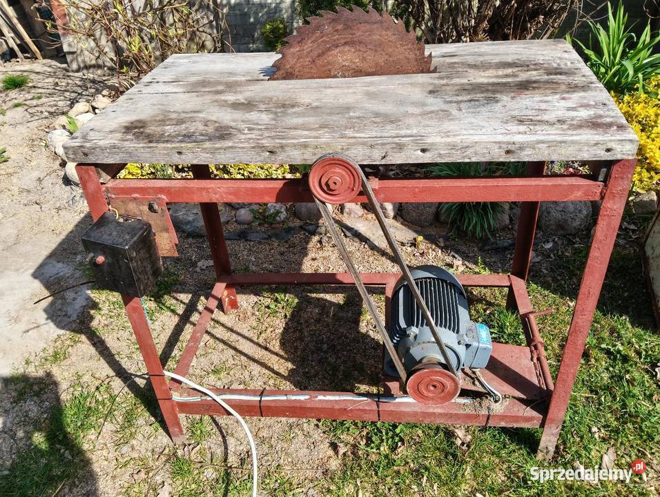 Trajzega cyrkulatka piła Zagajnik