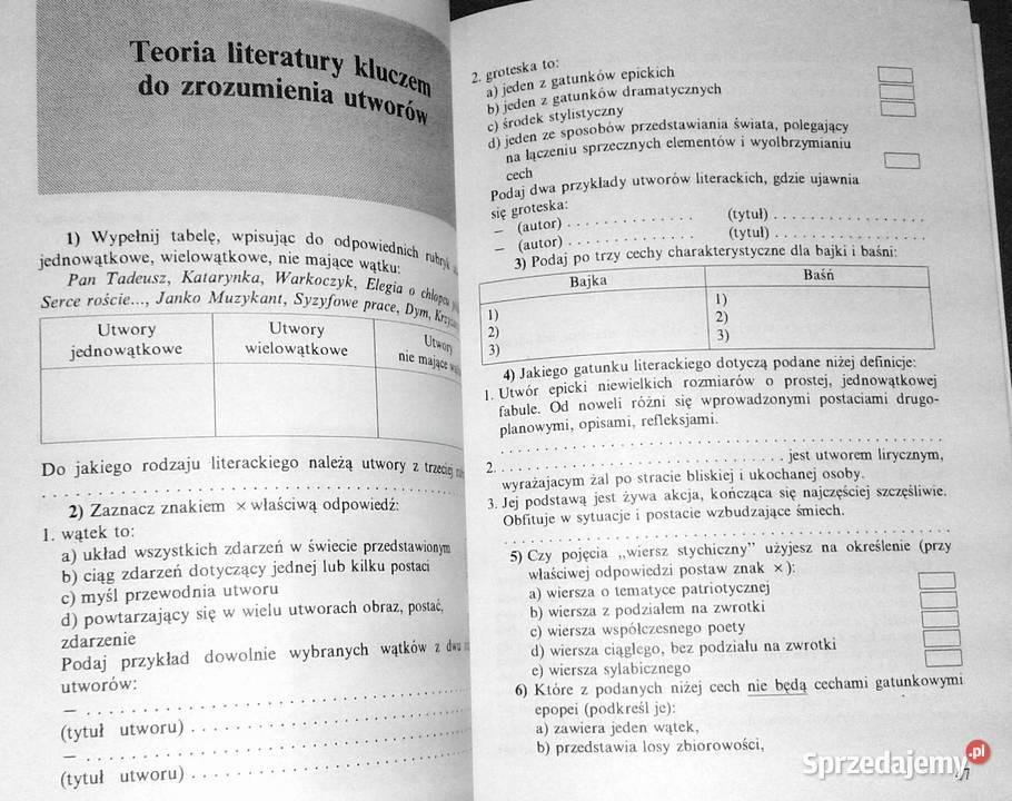 Zostań alfą i omegą z polskiego Dorota Drabarek Pozostałe lubelskie Chełm sprzedam