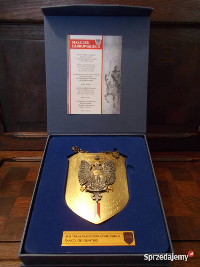 Ryngraf1szy Pułk Ułanów9 maja 1942Pod Twoją zachodniopomorskie Szczecin