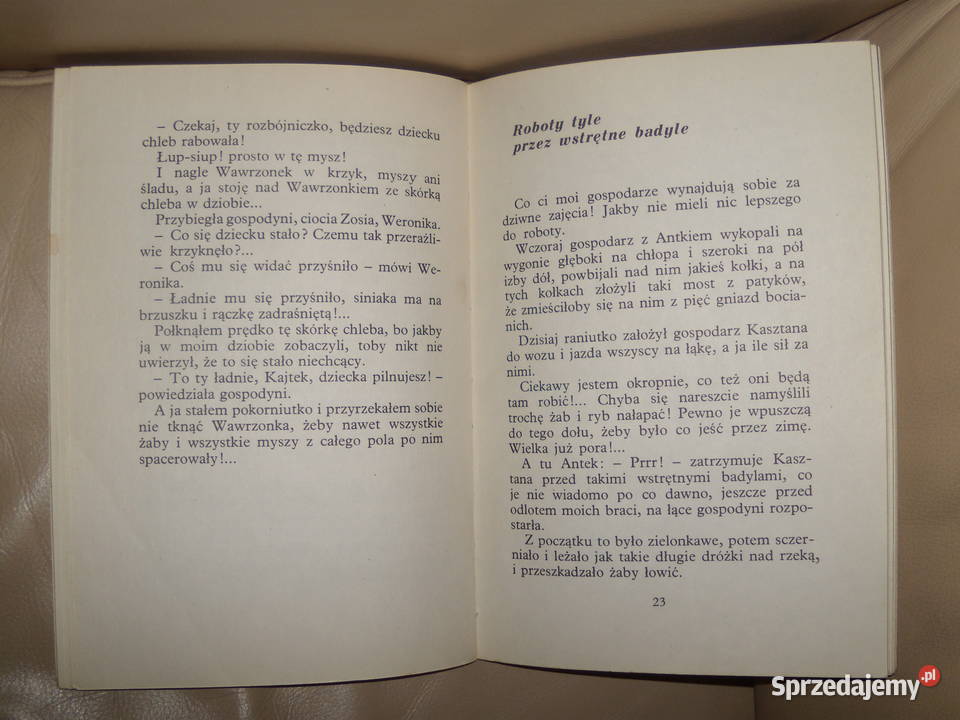 Kajtkowe przygody Maria Kownacka