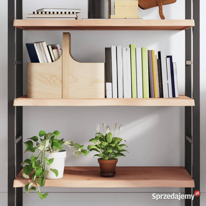 Półka 100x40x24 surowe lite drewno dębowe mazowieckie Warszawa