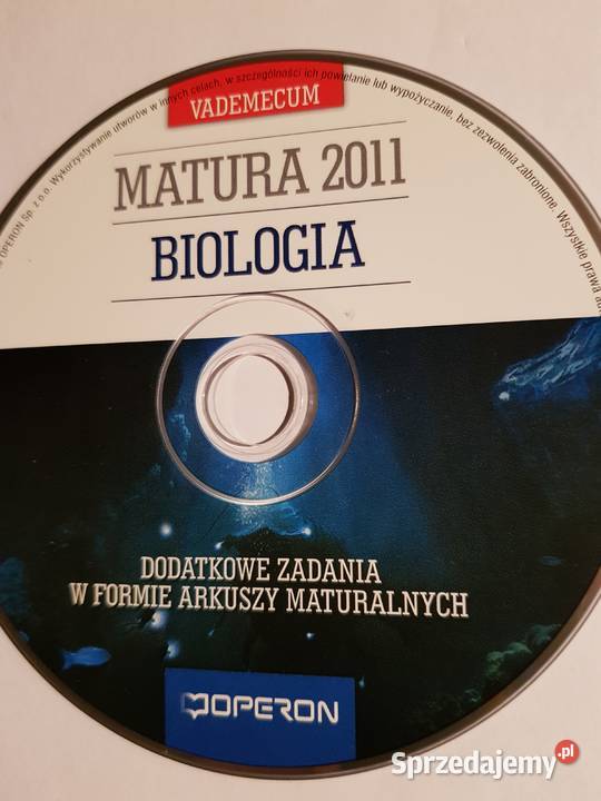 Angielski Testy Gimnazjum Osiecka Perełki Europy lektor Kielce